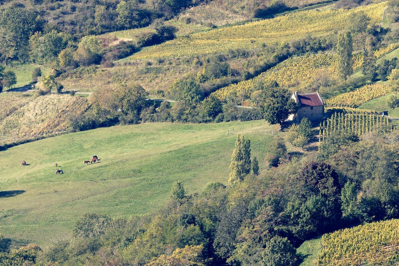 Les Billardes - Le Gite - Jura Gizia Exterior foto